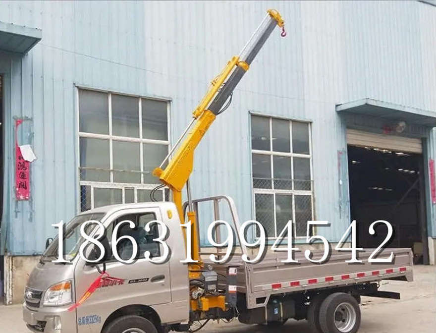 潮阳区车载吊机车载吊机悬臂吊机遥控升降机室内吊机移动出租小型